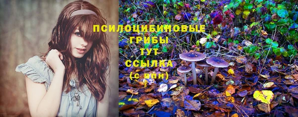 соль ск Алзамай