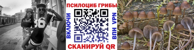 Галлюциногенные грибы мицелий  Салехард 
